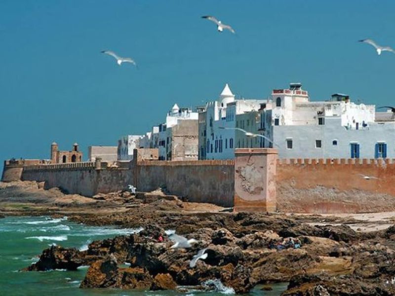 View of Essaouira's coastal fortifications and whitewashed buildings against a clear blue sky, with seagulls flying above and rocks in the foreground.