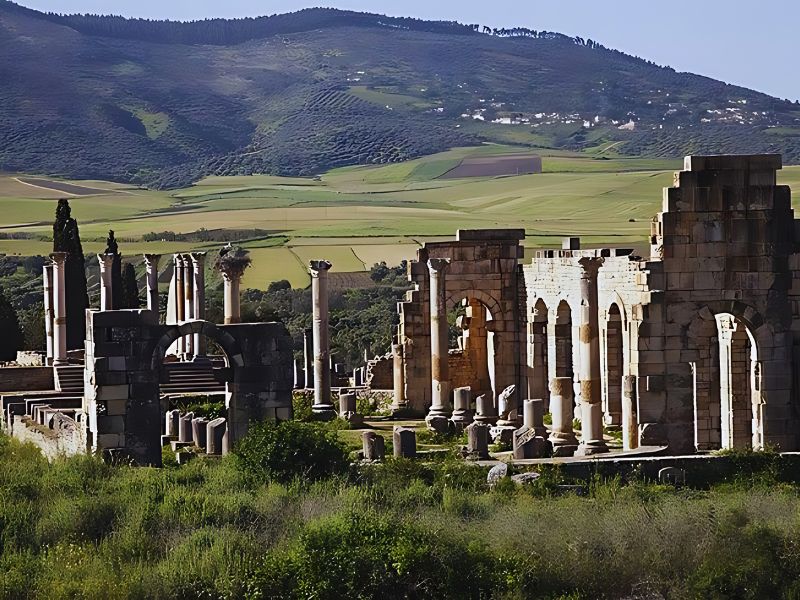 Ruins of the ancient city of Volubilis, featuring stone columns and arches against a backdrop of lush hills and fields.