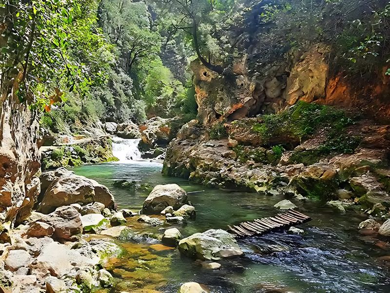 A scenic view of a crystal-clear river flowing through lush greenery and rocky terrain, with a small wooden bridge crossing over the water.