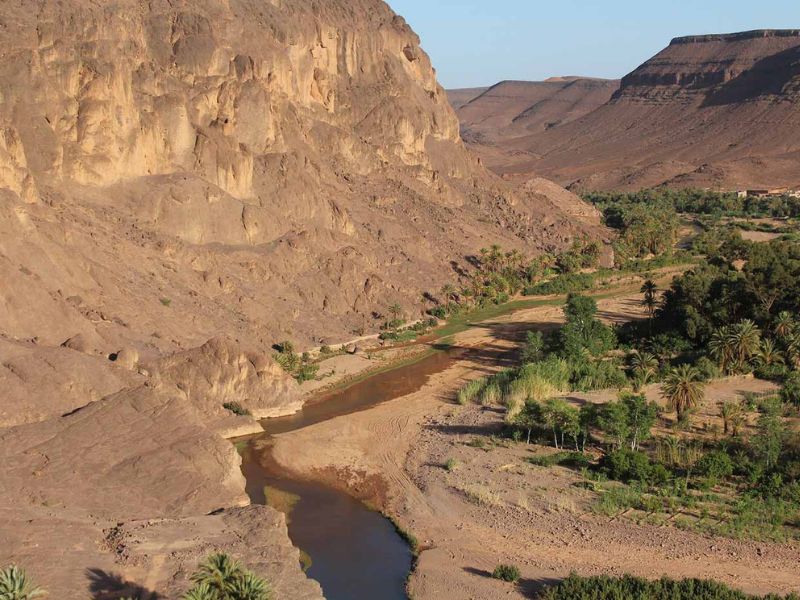 Aerial view of Fint Oasis, showcasing the contrast between barren, rocky mountains and the lush greenery of date palms and vegetation along a winding riverbed.