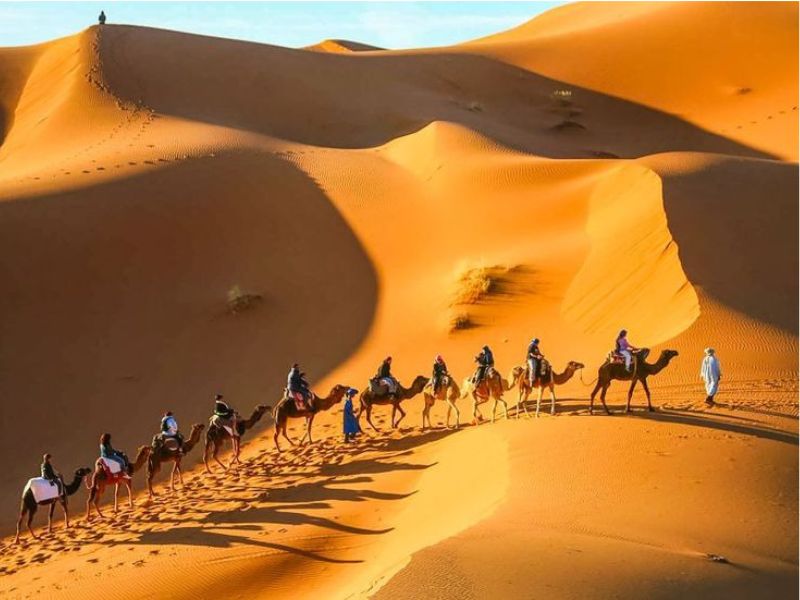 A line of camels and riders traversing the golden-orange dunes of Erg Chebbi in Morocco, showcasing the serene desert landscape under a clear sky.