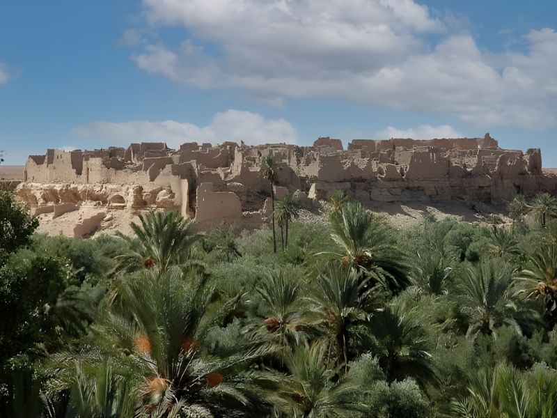 A panoramic view of the ancient ruins of Sijilmasa, surrounded by lush palm trees against a partly cloudy sky.