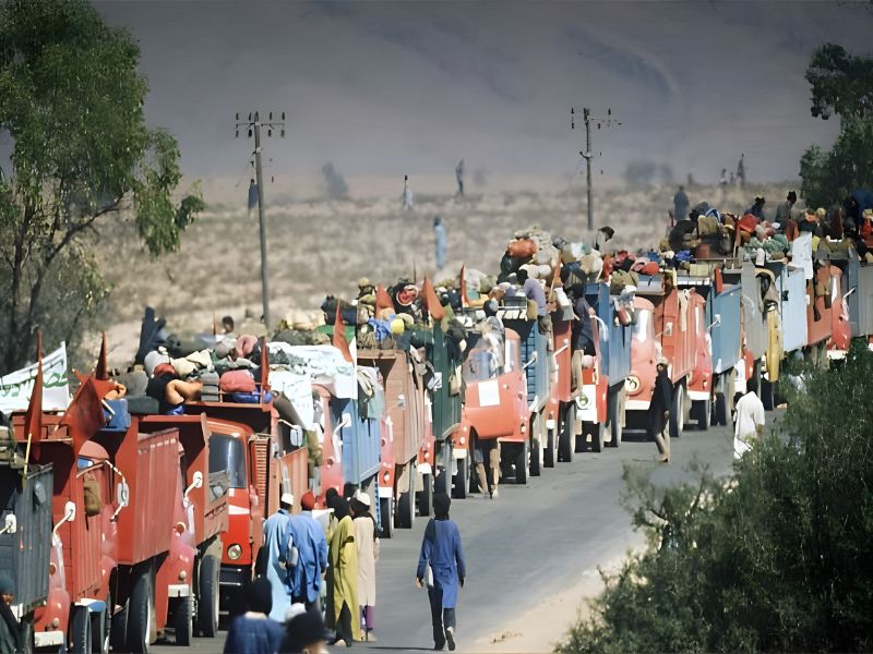 A procession of trucks filled with people and goods, displaying flags, traveling along a desert road during the Green March in Morocco.