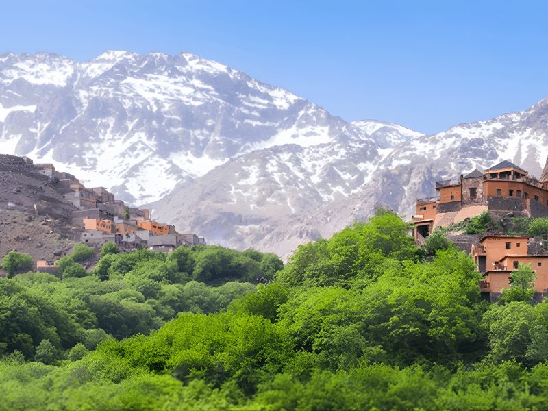A scenic view of the Atlas Mountains featuring a green valley and traditional Moroccan houses against a backdrop of snow-capped peaks.