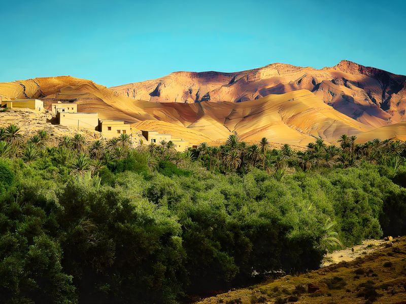 A scenic view of desert mountains in the background, with a cluster of traditional buildings and lush green palm trees in the foreground.