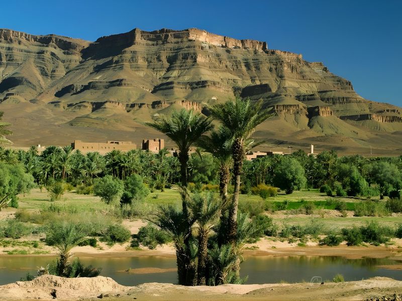 Scenic view of a mountainous landscape with palm trees and a lush oasis in the foreground, featuring a river and distant buildings at the base of the mountains.