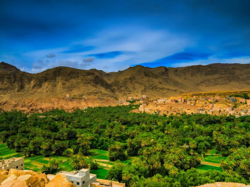 A scenic landscape featuring lush green palm trees and agricultural fields in the foreground, with rocky mountains and a blue sky in the background.