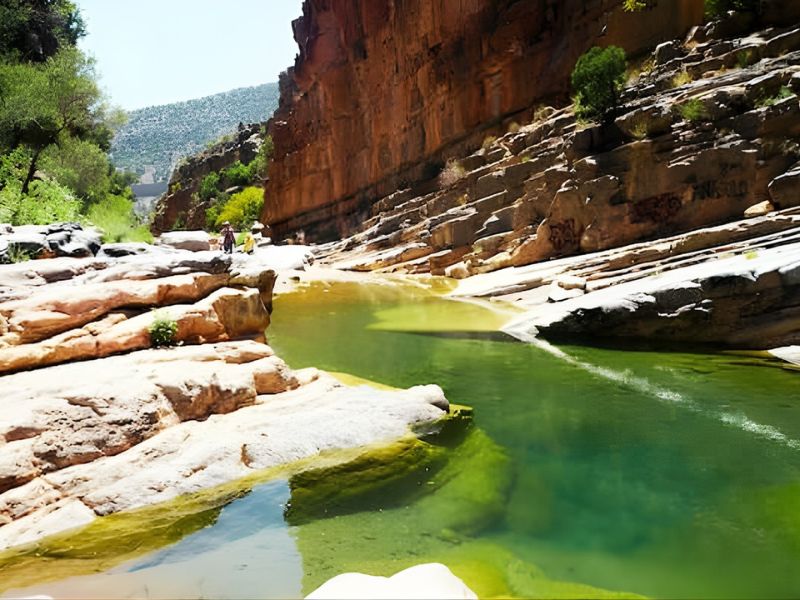 Scenic landscape of a river flowing through a rocky canyon with lush greenery on the sides.
