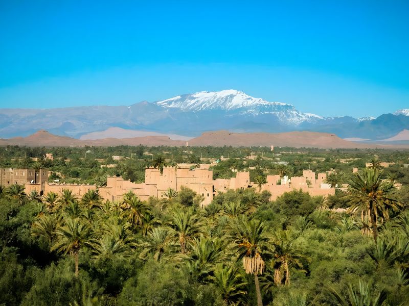 A scenic view of a desert landscape featuring traditional adobe buildings surrounded by lush palm trees, with snow-capped mountains in the background under a clear blue sky.