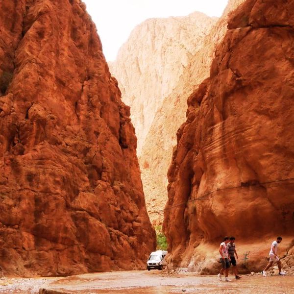 🧗 Todra Gorge: A Guide to Morocco’s Most Dramatic&nbsp;Canyon