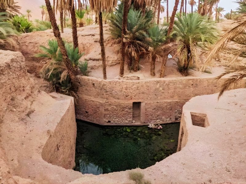 A tranquil oasis featuring a stone basin filled with green water, surrounded by palm trees and rocky terrain.