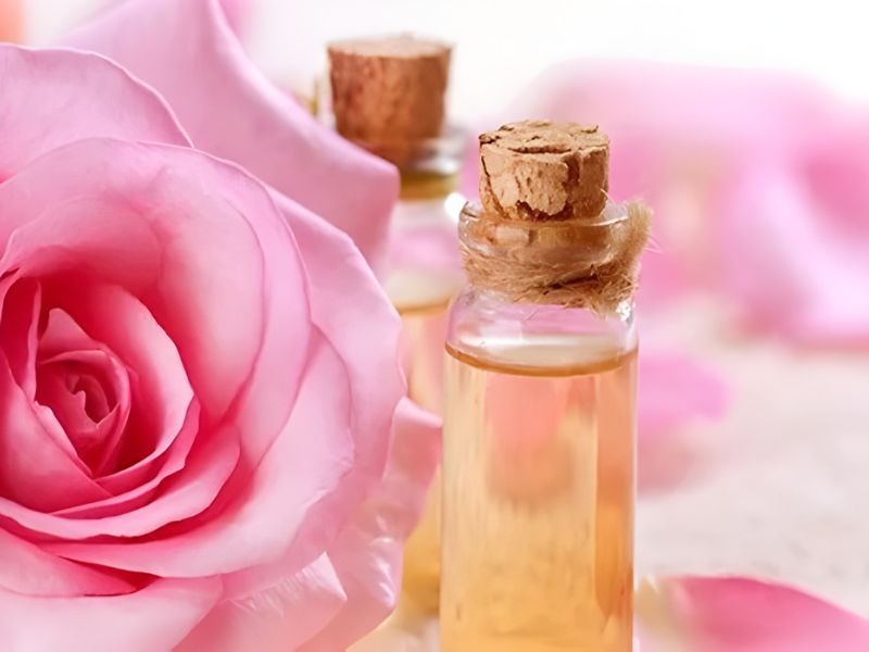 Close-up of a pink rose next to small glass bottles filled with a light amber liquid, topped with cork stoppers.