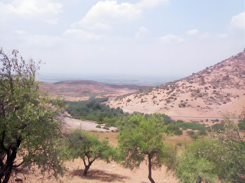 Arid landscape with scattered trees and a distant road winding through hills under a cloudy sky