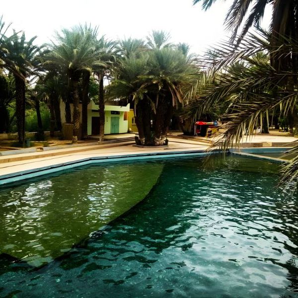 🏊 La Source Bleue de Meski: Morocco’s Natural Desert&nbsp;Pool