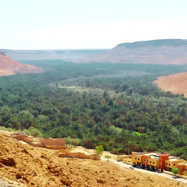 🌴 The Ziz Valley: A Guide to Morocco’s Massive Palm&nbsp;Oasis