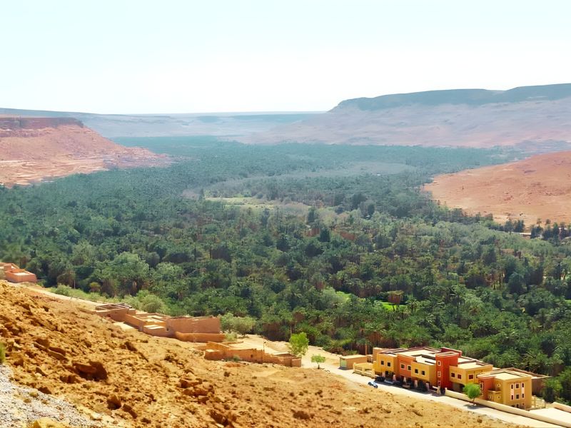 Lush green palm oasis in a desert valley with traditional earthen buildings on the slopes.